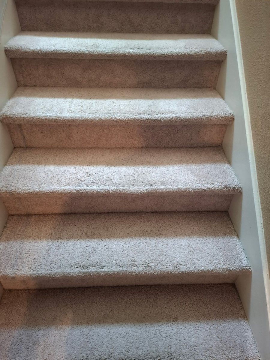 carpeted stairs vacuumed