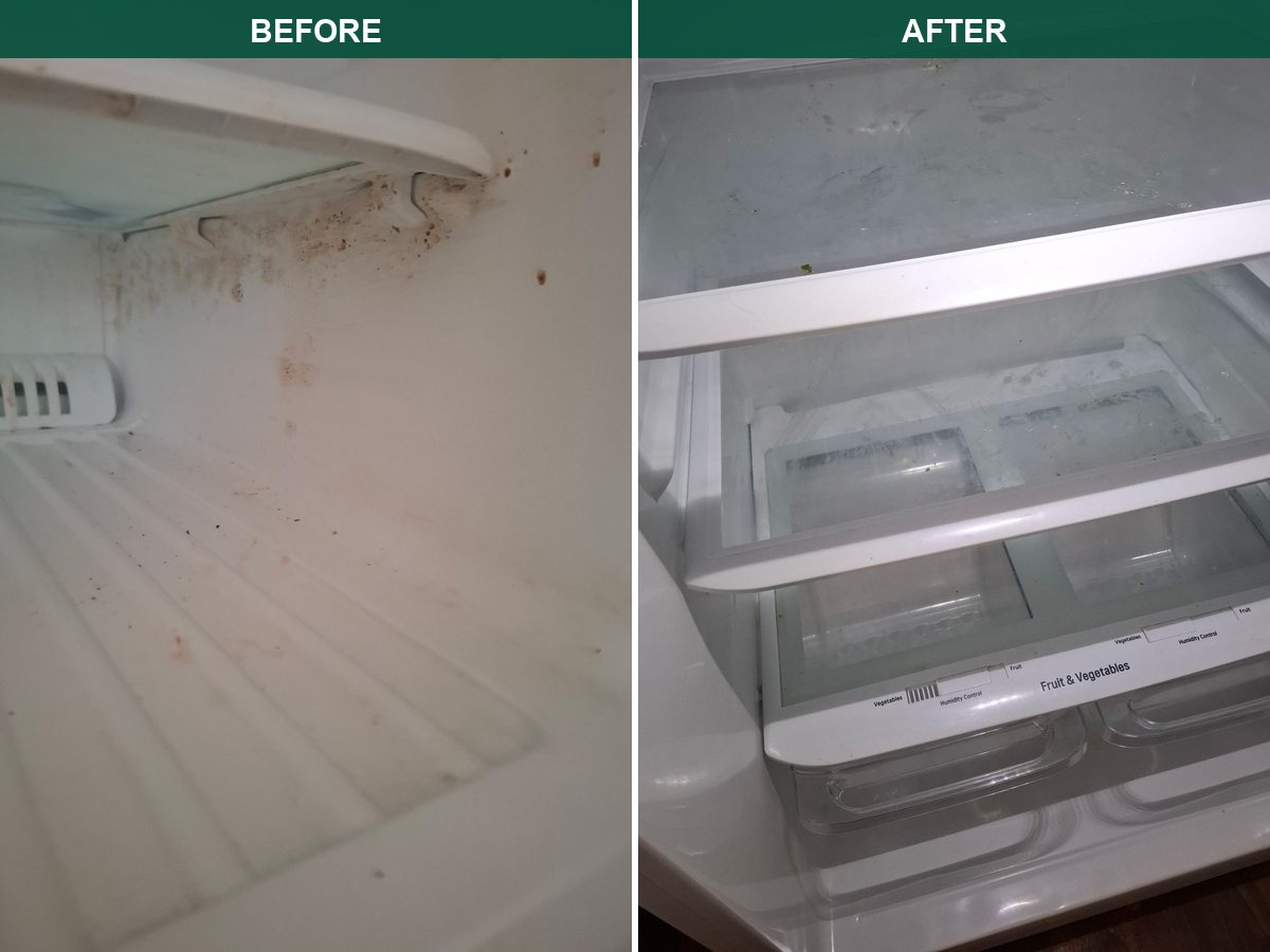refrigerator interior before and after