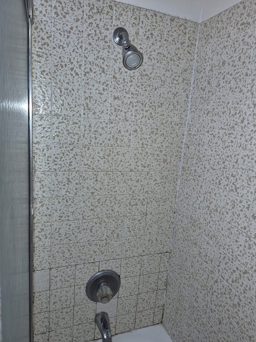 shower tile cleaned