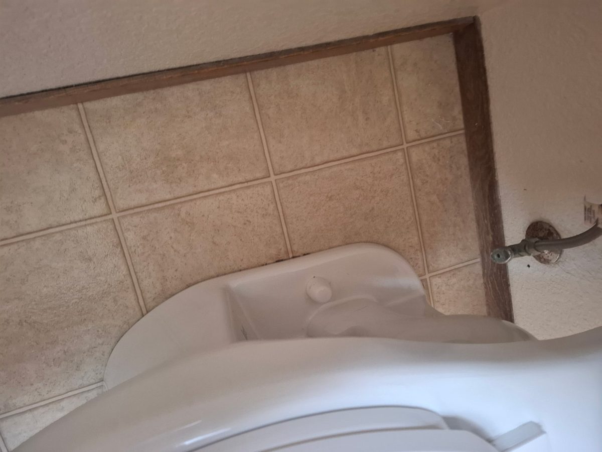 bathtub scrubbed