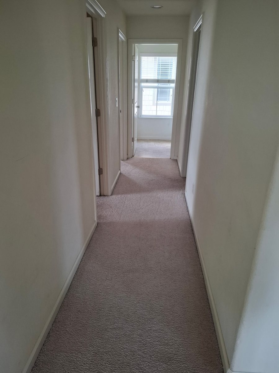 hallway and carpet
