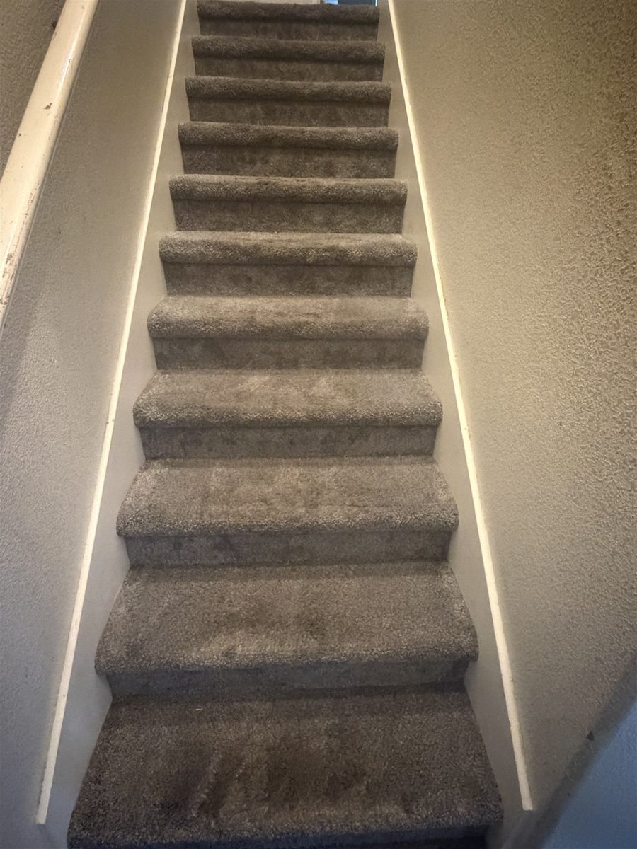 stairs vacuumed