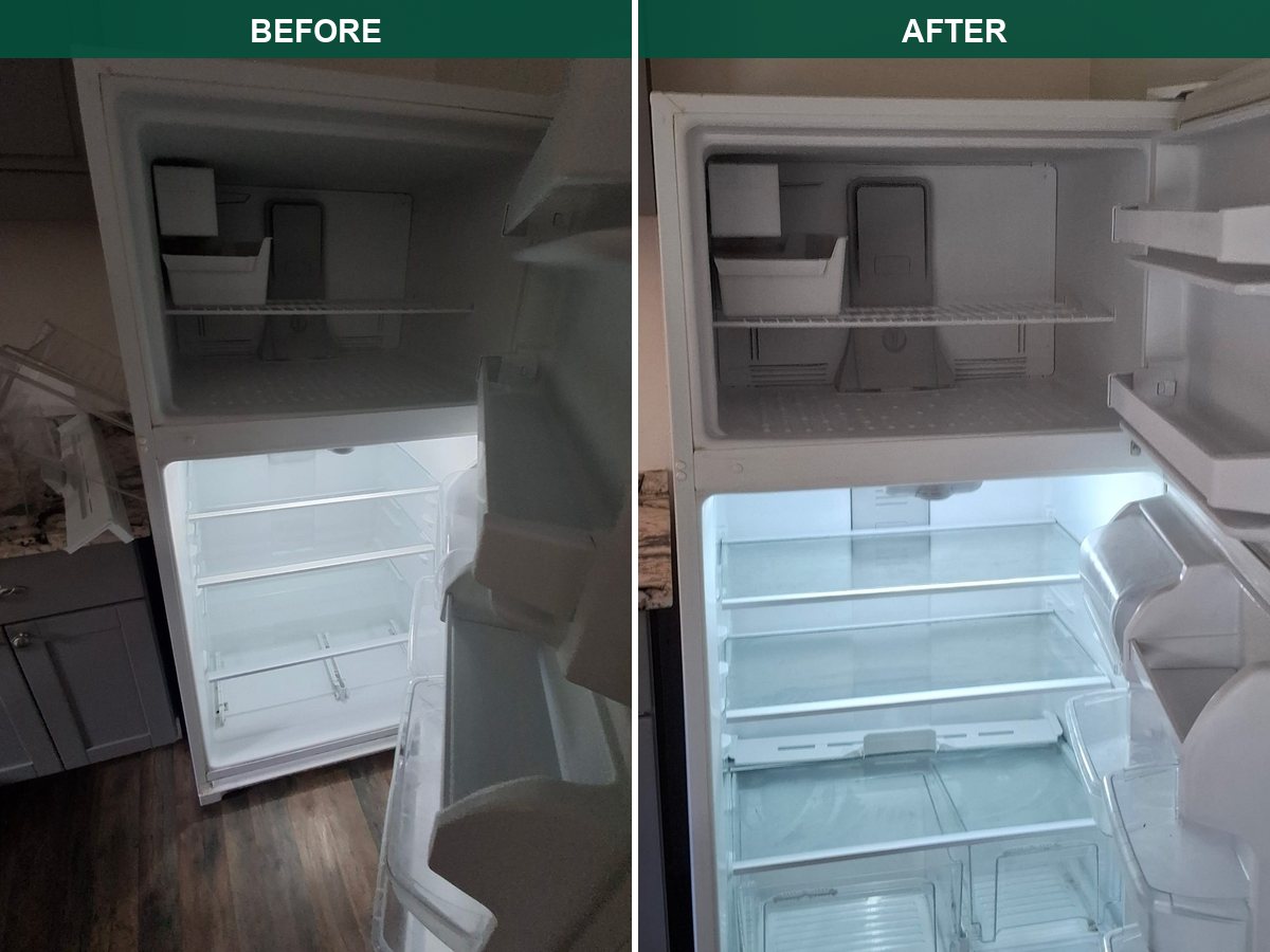 refrigerator before and after